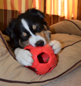 Turbo-Kick-Soccer-Ball-Blauw2