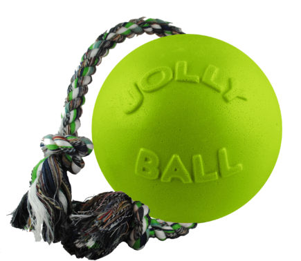 Jolly Pets Romp-n-Roll -GRÖN-