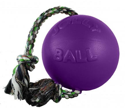 Jolly Pets Romp-n-Roll -LILA-