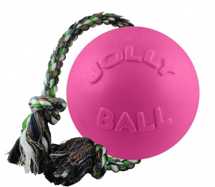 Jolly Pets Romp-n-Roll -ROSA-