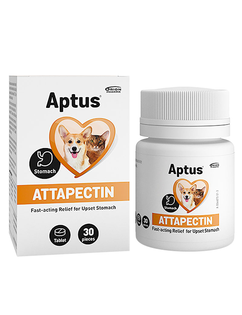 Aptus Attapectin